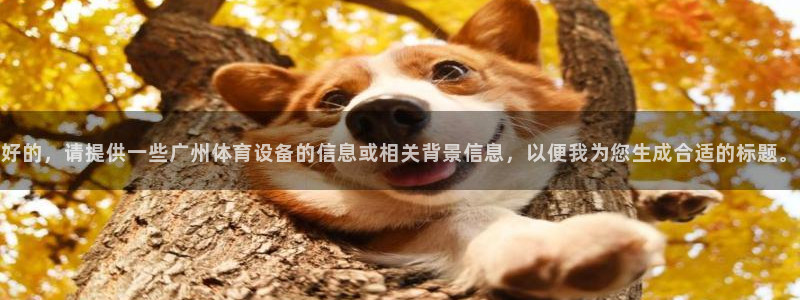 好的，请提供一些广州体育设备的信息或相关背景信息，以便我为您生成合适的标题。