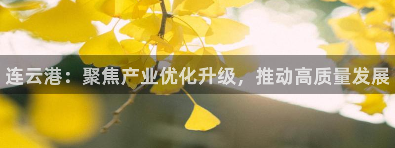 连云港：聚焦产业优化升级，推动高质量发展