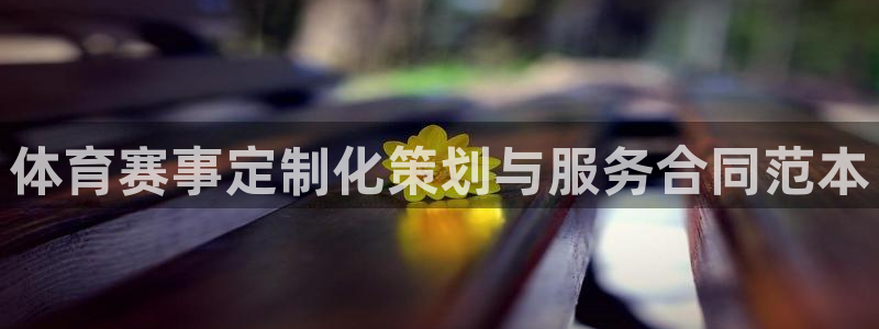 体育赛事定制化策划与服务合同范本