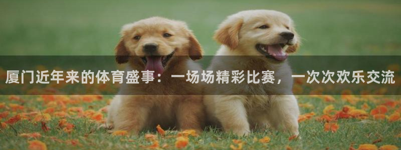 厦门近年来的体育盛事：一场场精彩比赛，一次次欢乐交流