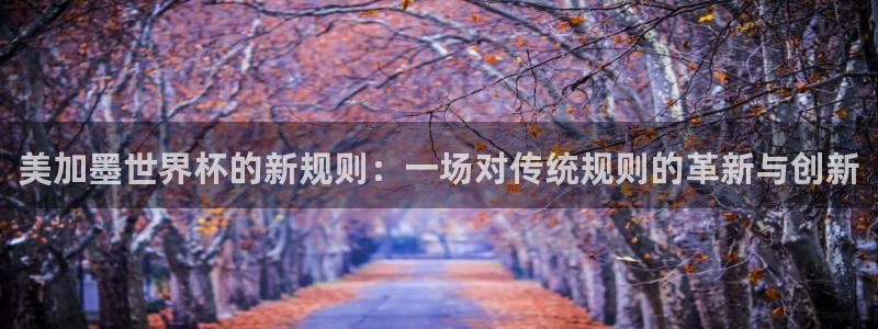 美加墨世界杯的新规则：一场对传统规则的革新与创新