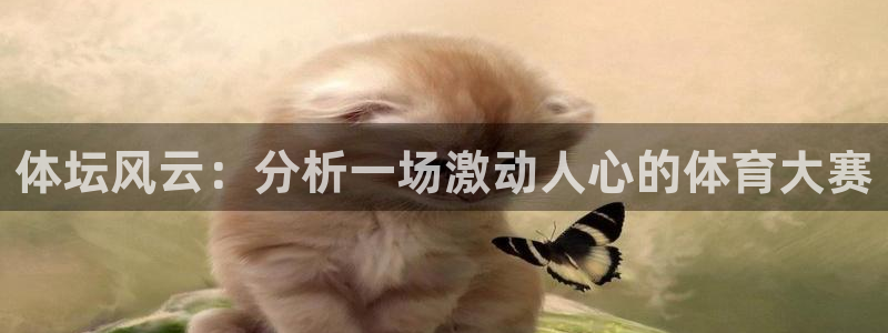 体坛风云：分析一场激动人心的体育大赛